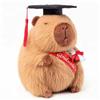 GVMJHYK Capybara di Peluche con Capybara di Laurea, Regalo di Laurea, Regalo per Ragazze, Ragazzi, Laurea, Regalo per La Scuola, 25 CM