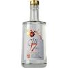 Distilleria JMEF dal 1888 Lanciano Gin J7 - Costa dei Trabocchi ® - Gin con Arancia selvatica - Premium gin mediterraneo con Arance e botaniche autoctone - 700 ML