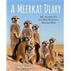 Suzi Eszterhas Meerkat Diary: My Journey into the Wild World (Copertina rigida)