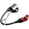 QWZOZST Gruppo Bobina di accensione 6R3-85570-00 per Motore per Barche Yamaha 115HP 130HP 150-225HP L130-L200 6R3-85570-01