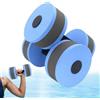 Generico Water Dumbbells | 2 Pack High Density Aquatic Exercise Weights