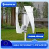 NONE Turbina eolica verticale da 5000 W 10000 W 12 V/24 V/48 V Controller MPPT senza rumore Consegna duty-free in Polonia
