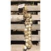 Generico Aglio Rosso di Proceno - 1 treccia con 20 teste piccole - 1 class. in Italia (1x20P)
