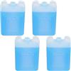 BESTYASH Box Ghiaccio Riutilizzabili 4 Pezzi Blu in Plastico