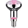 Paulmann 28732 Lampadina LED luce per piante lampadina da 6,5 Watt illuminazione luce 1300 K E27