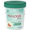 GIULIANI SPA Rimedi Disturbi Intestinali Psyllogel Fibra Arance Rosse 170g
