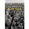 Jill S. Gross H. V. Savitch New York (Tascabile) Megacities