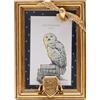 Widdop and Co Cornice per foto dorata Warner Bros. Harry Potter Alumni Hedwig
