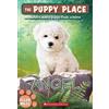Ellen Miles Angel (the Puppy Place #46) (Tascabile)