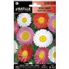 Semillas Batlle Acroclinium Gigante Doppio Vario