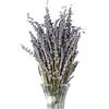 Youding Fiori di lavanda, mazzi di lavanda da 50 g, mazzi di lavanda, lavanda essiccata delicata, mazzo di lavanda essiccata naturale, bouquet di lavanda decorativo per artigianato, regali, casa, ufficio, fes
