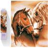 Diamond Dotz Togetherness, Ragazzo/ragazza, Adulto, Togetherness, Multicolore, 2555 pezzi, Medio