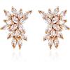 Clearine Rosa Oro Sposa Goccia Orecchini Marquise Zirconia cubica Cluster Forato Matrimonio Gioielli per Donne