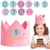 URAQT Cappellini Compleanno Bambini, Corona Compleanno Bambino con Numeri Intercambiabili da 0 a 9, Cappello di Compleanno con Corona per Bambini Festa di Compleanno(Rosa-Stile Peluche)