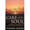 Piatkus Care Of The Soul: An inspirational programme to add depth and meaning to your everyday life