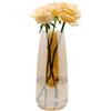 CiciIng Vaso di vetro per fiori, vaso di vetro trasparente moderno Ins, vaso di vetro alto 22 CM per la decorazione della tavola, vasi decorativi per erba di pampa, tulipani, orchidee, rose (Ambra)