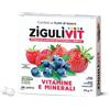 FALQUI PRODOTTI FARMAC. Srl Ziguli Vit Fruttibosco 40conf