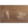 FARMACARE Srl Speculum Vag Ster Pic 1pz