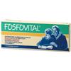 A.B.C. TRADING Srl Fosfovital® ABC Trading 7 Flaconcini da 10ml