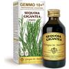 DR.GIORGINI SER-VIS Srl G10+ Sequoia Dr. Giorgini 100ml