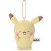 Pokemon Center Pokemon Centro Pokepiece Funny Face Pikachu Peluche Mascotte Giappone Ufficiale