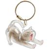 Generic Ciondolo a forma di bottiglia, in trasparente, con catena argentata, accessorio per capelli di gatto, accessorio per capelli di cane, urna commemorativa per animali domestici, gioiello