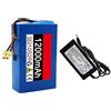 GAOZITAIGZ Batteria Per E-Bike, Batteria Agli Ioni Di Litio Impermeabile, Batteria Di Ricambio Al Litio Da 36V 12Ah Per Monopattini Elettrici, Biciclette E Go-Kart (36V 12AH),XT60+DC