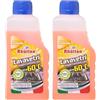Rhütten Lavavetri Concentrato Antigelo, Protegge fino a -60°C, per Vaschette Tergicristallo Auto, Profumato agli Agrumi, da Diluire con Acqua, Invernale, 250ml (Confezione da 2)