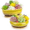 ARTKETTY Vasi per piante grasse, vasi in ceramica per piante grasse con vassoio di drenaggio in bambù, 1 vaso da fiori rettangolare + 1 vaso rotondo per cactus bonsai da interno (giallo)