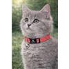 Flamingo collare gatto - gattino Elza rosso corallo 15-22 cm - nylon elastico riflettente con campanellino