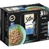 SHEBA Sacchetto multipack Selection in salsa pesce Variation MSC 1 x 12 x 85 g