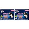 PURINA - Felix - Teneri squilati Junior - Gatto - Alimento Completo, Adatto per Gattino sterilizzato - Pollo, Manzo, Salmone e Trota - Gelatina - Porzione individuale - 12 x 85 g (Confezione da 2)