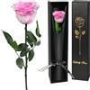Yamonic Rosa Stabilizzata Regalo Donna,Rosa Eterna con Steli Regalo per Donne Compleanno,Idee Regali per Lei,Regali Mamma Natale San Valentino Festa della Mamma,Vera Rosa