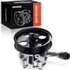 Frankberg Pompa servosterzo Compatibile con Wrangler III JK 3.6 V6 2011-2025 Replace# 20-1039,5154400AC