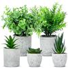DUBUOZA 5 PCS Piante Artificiali con pentole, Mini Piante finte Serpentine, Agave Succulente, Aloe Artiglio d'Aquila Per la decorazione di scrivania, balconi e uffici