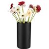 TREND FOR HOME Vaso da pavimento in vetro, 29 cm, nero opaco, vaso per erba della pampa, rami di Pasqua, grande vaso cilindrico, diametro 15,8 cm, 5120 ml, moderno vaso decorativo, cilindro in vetro