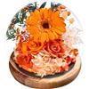 Touloube Girasole Stabilizzato Vera in Cupola di Vetro - Regalo Donna, Mamma, Ideale per Compleanno, San Valentino, Festa della Mamma - Rose Eterno con Scatola Elegante - Sorpresa Romantica per Lei