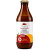 Agricola Pendolino Passata Pura e Autentica di Pomodoro 320 g -100% Pomodoro Siciliano Siccagno- Senza Sale e Conservanti - Agricola Pendolino (9, 2880, grammo)