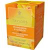 Taylors® | Infuso Mandarino e Zenzero | Tisana Frutta e Spezie Senza Caffeina - 1 x 20 Filtri | Miscela Frutta e Spezie in Bustine Singole