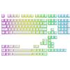 Ranked Pudding v2 Tasti PBT | 145 Layout ANSI US e ISO traslucido a Double Shot | Profilo OEM per Tastiera da Gioco Meccanica RGB (Bianco)