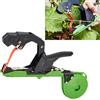 DISCORAMA - PINZA LEGATRICE MANUALE PER PIANTE E VITI TAPETOOL PROFESSIONALE CON TESTA ANTI-INCEPPAMENTO KIT COMPLETO DI 20 ROTOLI DI NASTRO COLORATO E SCATOLA DI GRAFFETTE PER ORTO GIARDINO