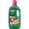 Substral Fertilizzante universale per piante, 1 l, per interni ed esterni, con biostimolanti per una crescita forte, verde