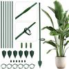 TZEKING 6 Pezzi Supporto per Piante 6.3mm x 30cm - Tutori in Fibra di Vetro Resistenti con Aste di Collegamento, Picchetti & Clip - Ideale per Orchidee, Monstera - Resistente agli Agenti Atmosferici