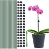 TSKDKIT Supporti per Piante 40 cm, 20 PCS Bastoncini di Supporto Verdi Pieghevoli con 50 Clip e 20 Cravatte, Bastoncini da Giardinaggio per Piantine di Girasole, Orchidee