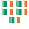 ZBHDEYG 15 bandiere irlandesi a mano, bandiera irlandese, piccole bandiere su bastoni, bandiere a mano con emblema nazionale, decorazioni per feste irlandesi (14 x 21 cm)