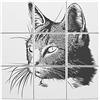 Fabulous Set di 9 piastrelle in ceramica decorative, 20 x 20 cm, motivo: gatto disegno schizzo, matita gatto domestico, arte (dimensioni totali 60 x 60 cm)