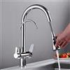 Generico Rubinetto da Cucina Miscelatore Cucina Lavello Doccia Estraibile A 3 Vie con 2 Modalità Di Spruzzo Collo Oca Ad Arco Alto Filtro per L'Acqua 3 in 1 Girevole 360° Cromato