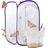 LEPITERRA Set di allevamento di farfalle per bambini, circa 14 bruchi + grande habitat (40 x 40 x 60 cm) | E-book 0 + materiale didattico | Coltiva bruchi a casa dai 3 anni | Farfalle cardo domestico