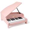 JALOKEE Tastiera per pianoforte per bambini, 25 tasti, pianoforte a coda in miniatura, strumento educativo in legno, volume regolabile, adatto per ragazze e ragazzi in età bassa (Rosa)