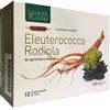 Ligne de Plantes Eleuterococco Rodiola 10 Ampolle Ligne de Plantes
